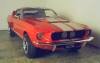 amt 67 shelby mustang